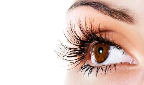 Woman brown eye with extremely long eyelashes